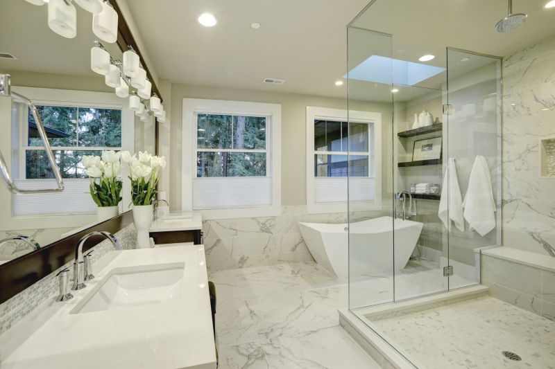 Luxurious Master Bathroom Renovation